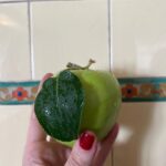 Liv Tyler Instagram - Summer love 🍏♥️ 🥑 🍑 🍐