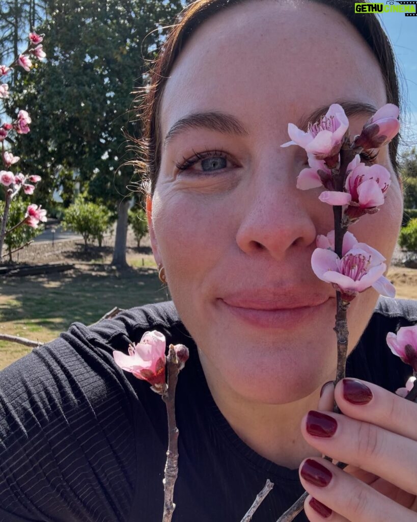 Liv Tyler Instagram - Blossom face plant … the most beautiful smell !!!!