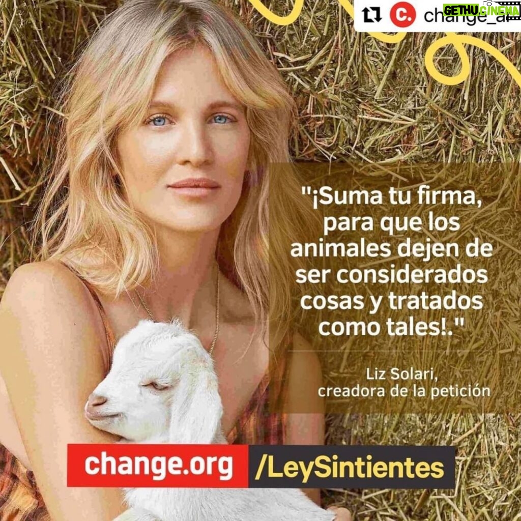 Liz Solari Instagram - #Repost @change_ar with @use.repost ・・・ 🔴@liz_solari creó esta petición Change.org/LeySintientes que propone la modificación del Código Civil y Comercial Argentino para considerar a los animales sintientes y sujetos de derecho. 📢En su petición dice: "Argentina es un país que dice estar a la vanguardia en cuestiones de derechos animales, sin embargo el Código Civil y Comercial argentino, aun mantiene la condición jurídica de cosas al referirse a los animales (no humanos), negándoles ser sujetos de derechos y avalar su sintiencia, inteligencia y conciencia reconocida hoy en día por la ciencia. Llamo a todos los amantes de los animales, a todos los que aman la vida." ✍Firmá AHORA en Change.org/LeySintientes o ingresando desde el link que está en nuestra Bio. - @liz_solari has created this petition to empower 👉🏽 @leysintientes #SentientLaw Proposes a modification of the Argentinian Civil and Comercial code to consider non human animals sentient and subject to law. Please sign and share the petition - Link in Bio @cherchevalier_author @clegg.judith @smileymindskids 🙏🏻❤️🐾💪🏾 #leysintientes #animales #animalesfelices #animallovers #stopanimalcruelty #animalliberationnow