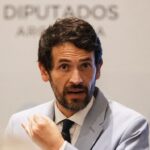 Liz Solari Instagram - Honrada de levantar mi voz junto a #PhilipLow @juancarloslosadavargas @maximomazzocco, hombres que admiro por su inmenso, dedicado y unico labor por los animales y la Tierra. Gracias de corazón a cada persona que trabaja en pos de esta causa. Juntos haremos que @leysintientes sea ley en #Argentina Suma TU VOZ, Firmá la petición link en Bio. 🙏🏻❤️‍🔥🐾✍️✨🫶🏽 📸@caherreraw Honoured to raise my voice together with #PhilipLow @juancarloslosadavargas @maximomazzocco, men I admire for their immense, dedicated and unique work for animals and the Earth. Heartfelt thanks to every person who works for this cause. Together we will make @leysintientes law. #LeySintientes #Derechosdelosanimales #Congresodelanacion