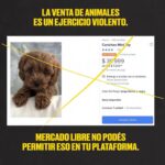 Liz Solari Instagram - Hey @mercadolibre.arg es hora de dejar de intermediar la venta de los animales como si fueran cosas en su plataforma. Son seres sintientes, concientes. No sean más complices del cruel y oscuro negocio de la industria de venta de cachorros de raza. 🙏🏻❤️🐾 @voicot @difusionv @leysintientes #liberacionanimal #AdoptaNoCompres #MercadoLibreArgentina #LeySintientes