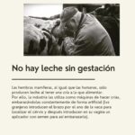 Liz Solari Instagram - 5 verdades incómodas sobre la #industriacarnica que no te cuentan los anuncios. ¿Cual te impacto más? Gs @maiteirulegi 🙏🏻🌱🐾 #plantbased #govegan #sevegano #amoranimal #animales #masamor