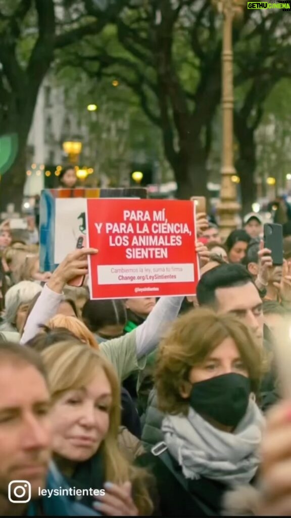 Liz Solari Instagram - @leysintientes estuvo presente junto a cientos de personas que marcharon en Buenos Aires, frente al Congreso de la Nación demandando el fin de la traccion a sangre el fin de la cosificacion de los animalea para ser explotados por el hombre. Los animales no son cosas. La Ley Argentina debe considerarlos sintientes y sujetos de derecho. Firmá y compartí nuestra petición en bio. @leysintientes was present marching with hundreds of people in the streets of Buenos Aires, in front of the Argentinian Congress to demand the end of blood traction and the end of animal objectivisation. Animals are not objects! The Argentine Law must consider them Sentient and subject to law. Sign and share our petition. Direct link in Bio. 🙏🏻❤️🐾💪🏾🕊 #animalliberarion #animalovers #nomastas #leysintientes #liberacionanimal #argentina