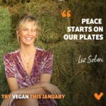 Liz Solari Instagram - Hablar de Paz con un ser muerto en nuestro plato es incoherente. Yo lo fui por 26 años de mi vida. Hace 12 años elegí alinear mis pensamientos con mis acciones. Hace 12 años elijo que mi plato esté lleno de vida. Para mi el veganismo es un paso (de tantos más) que damos cuando somos concientes de que la vida de otro ser es tan importante y necesaria en esta creación como la nuestra. Jesús nos dejó una Regla de Oro: “Trata a otros como quisieras ser tratado”. Esto incluye a otros humanos, a los animales y a la Tierra. Te invito a probar el #veganismo junto a @veganuaryespanol en Enero. Te invito a que taguees a la persona que te motivo a dejar de comer animales. Gracias @cherchevalier_author por inspirarme. 🙏🏻🌎❤️🌱🐾🧘‍♀️✨ #veganismo #veganuary #NocheDePaz #Navidad #Jesus #Conciencia #Paz #Compasión #AmorAnimal