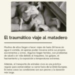 Liz Solari Instagram - 5 verdades incómodas sobre la #industriacarnica que no te cuentan los anuncios. ¿Cual te impacto más? Gs @maiteirulegi 🙏🏻🌱🐾 #plantbased #govegan #sevegano #amoranimal #animales #masamor