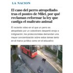 Liz Solari Instagram - Gracias @lanacioncom por abrir el espacio para hablar de la URGENCIA de mejorar sustancialmente la Ley 14.346 y de que el proyecto de #LeySintientes SEA LEY, a raíz del terrible caso de la perrita Emilia que fue asesinada atropellada por un colectivero. Etiquetá a @javiermilei y pedile que apoye @leysintientes para proteger a los animales. 🙌🏽❤️😍 LEY SINTIENTES busca dar un paso histórico en Argentina modificando el Código Civil y Comercial para sacar de la categoría de “cosas” a todos los animales y así declararlos sintientes y sujeto de derecho. 🙏🐾 📰 Lee la nota completa en nuestra WEB en la sección de PRENSA: leysintientes.org Nota: @vickymenghini Y POR FAVOR, firmá y compartí nuestra petición en change.org/leysintientes para ayudarnos a llegar a 1 millón de firmas. #Argentina #Animales #DerechosAnimales #LeySintientes We thank @lanacioncom for discussing the URGENT need to make the #SentientLaw a reality in Argentina, following the tragic case of Emilia, the dog who was killed by a bus driver. #SENTIENTLAW aims to make a historic change by amending Argentine Civil and Commercial Code to take all animals out of the category of “objects” and declare them sentient beings and subject to law. 🙏🐾 📰 Read the full article on our WEBSITE in the PRESS section: leysintientes.org PLEASE, sign and share our petition at change.org/leysintientes to help us reach 1 million signatures. #Animals #AnimalRights #AnimalSentience