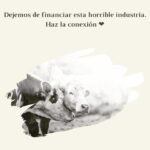 Liz Solari Instagram - 5 verdades incómodas sobre la #industriacarnica que no te cuentan los anuncios. ¿Cual te impacto más? Gs @maiteirulegi 🙏🏻🌱🐾 #plantbased #govegan #sevegano #amoranimal #animales #masamor