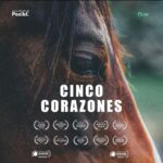 Liz Solari Instagram - ¡#5Corazones llega a @flowcontenidos! 🙏🏻🎬🐴🥳 5 Hearts has arrived to @flowcontenidos! #SaveTheDate 20.09.21 #premiere #documental #documentary Estamos muy felices de contarles que a partir del 20 de septiembre, nuestro documental “Cinco Corazones”, estará disponible para millones de personas en la plataforma digital Flow, en exclusiva para Argentina, Uruguay y Paraguay. Narrado por la reconocida actriz y activista Liz Solari y dirigido por Martin Parlato, CEO y Fundador de Posibl., Cinco Corazones cuenta la verdadera y cruel realidad que viven mas de 200.000 caballos por año en Argentina, quienes desde su nacimiento hasta su muerte viven todo tipo de abusos. El documental deja al desnudo las vergonzosas prácticas deportivas y culturales a las que están expuestos los equinos y su objetivo es ponerle fin a la triste realidad que viven estos animales que finalmente son faenados para que su carne sea exportada desde Argentina hasta los distintos países consumidores de carne de caballo en Europa. No te pierdas este sensacional estreno. Comparte el documental y suma tu voz. Juntos podemos cambiar la realidad de los caballos. ✊ @posiblmedia . . . . @liz_solari @ffw.es @fondationfranzweber @santuarioequidad @mas_animalidad @italianhorseprotection_onlus @alejandra.garcia_equidad @gaiabelgium #animalwelfarefoundation @cherchevalier_author @clegg.judith @smileymindskids #TierschutzbundZürich #Posibl #Documental #Documentary#Films #Movie #Caballos #Horses#Animals #Animales #AnimalCruelty #AnimalWelfareFoundation #tierschutzbundzürich