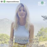 Liz Solari Instagram - ・・・ @stopecocidioesp @ecocidelaw ⌛Estamos viviendo un momento único en la historia de la humanidad. El grave daño y la destrucción masiva de los ecosistemas, es decir, el ecocidio, nos ha llevado a la actual crisis climática, el colapso de la biodiversidad y el aumento de los graves crímenes ambientales. Esto está poniendo en riesgo nuestro futuro y el de millones de seres vivos más ⚖️Ha llegado el momento de modificar la ley introduciendo un nuevo crimen en la esfera internacional: el ECOCIDIO 🥁Y hoy tenemos el grandísimo honor de anunciar que @liz_solari, argentina y activista en defensa de los derechos de los animales, apoya públicamente la campaña Stop Ecocidio y anima a que junt@s cambiémos el rumbo de la historia 🌎Porque la Ley del Ecocidio puede velar por la protección duradera de toda la vida en la Tierra 🔗Toda la información de la campaña y cómo apoyarnos en nuestro Linktree y en nuestra web . . . . . . . . . . . . . @cherchevalier_author @clegg.judith @smileymindskids @greenpeacearg @ffflatam @ecoinventos @natgeoespana @inacoargentina @fibgar_ @carrascofilm @greenpeace @redeecocidada @unoy_peacebuilders @nuestra.agenda @extinctionrebellion.brasil @unep_esp @plataformacipo @tierradelfuegogob @iamexp10 @extinctionrebellionpt juenaong @xr_mex @xrcolombiaa @juventudesxlapaz @redambiental @paiscircular @rellac_joven @boliviamerecemas @captainmarch @j.u.l.i.a.borges @maria.bonita.xr @pistasazules @greenysofi @advoquette @fridaysforfuturebogota @re.earthorg @latinasforclimate @pedrocunha.eco @besomeone.world @justicaeco @escazuahora_mx @escazuahorachile #stopecocidio #leydelecocidio #acciónclimatica #ecocidio #protectoresdelatierra #proteccionmedioambiental #derechosdelmedioambiente #legislaciónmedioambiental #medioambienteeuropeo #estatutoderoma #crimenclimático #crisisclimática #justiciaclimática #calentamientoglobal #Delitosecológicos #leyambiental #leypenaldelambiente #ecocidionuncamas #JusticiaAmbiental #urgenciaclimatica #cambioclimaticoesreal #MovimientosSocial #AméricaLatina #indígenas #pueblosindígenas #justiciaclimática #bosquessinmineria #standwiththeamazon #sosamazonia #amazoniavivahumanidadsegura