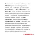 Liz Solari Instagram - Gracias @lanacioncom por abrir el espacio para hablar de la URGENCIA de mejorar sustancialmente la Ley 14.346 y de que el proyecto de #LeySintientes SEA LEY, a raíz del terrible caso de la perrita Emilia que fue asesinada atropellada por un colectivero. Etiquetá a @javiermilei y pedile que apoye @leysintientes para proteger a los animales. 🙌🏽❤️😍 LEY SINTIENTES busca dar un paso histórico en Argentina modificando el Código Civil y Comercial para sacar de la categoría de “cosas” a todos los animales y así declararlos sintientes y sujeto de derecho. 🙏🐾 📰 Lee la nota completa en nuestra WEB en la sección de PRENSA: leysintientes.org Nota: @vickymenghini Y POR FAVOR, firmá y compartí nuestra petición en change.org/leysintientes para ayudarnos a llegar a 1 millón de firmas. #Argentina #Animales #DerechosAnimales #LeySintientes We thank @lanacioncom for discussing the URGENT need to make the #SentientLaw a reality in Argentina, following the tragic case of Emilia, the dog who was killed by a bus driver. #SENTIENTLAW aims to make a historic change by amending Argentine Civil and Commercial Code to take all animals out of the category of “objects” and declare them sentient beings and subject to law. 🙏🐾 📰 Read the full article on our WEBSITE in the PRESS section: leysintientes.org PLEASE, sign and share our petition at change.org/leysintientes to help us reach 1 million signatures. #Animals #AnimalRights #AnimalSentience