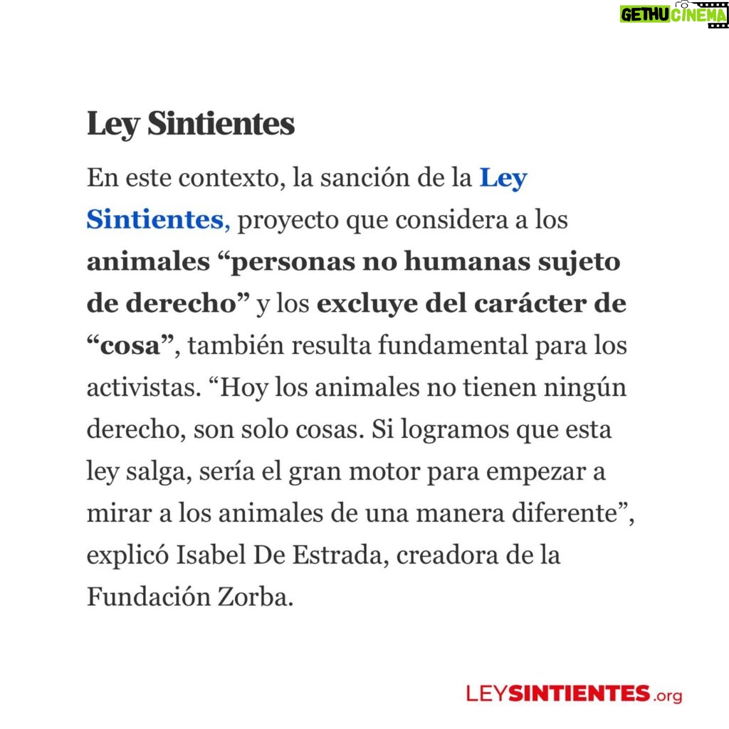 Liz Solari Instagram - Gracias @lanacioncom por abrir el espacio para hablar de la URGENCIA de mejorar sustancialmente la Ley 14.346 y de que el proyecto de #LeySintientes SEA LEY, a raíz del terrible caso de la perrita Emilia que fue asesinada atropellada por un colectivero. Etiquetá a @javiermilei y pedile que apoye @leysintientes para proteger a los animales. 🙌🏽❤️😍 LEY SINTIENTES busca dar un paso histórico en Argentina modificando el Código Civil y Comercial para sacar de la categoría de “cosas” a todos los animales y así declararlos sintientes y sujeto de derecho. 🙏🐾 📰 Lee la nota completa en nuestra WEB en la sección de PRENSA: leysintientes.org Nota: @vickymenghini Y POR FAVOR, firmá y compartí nuestra petición en change.org/leysintientes para ayudarnos a llegar a 1 millón de firmas. #Argentina #Animales #DerechosAnimales #LeySintientes We thank @lanacioncom for discussing the URGENT need to make the #SentientLaw a reality in Argentina, following the tragic case of Emilia, the dog who was killed by a bus driver. #SENTIENTLAW aims to make a historic change by amending Argentine Civil and Commercial Code to take all animals out of the category of “objects” and declare them sentient beings and subject to law. 🙏🐾 📰 Read the full article on our WEBSITE in the PRESS section: leysintientes.org PLEASE, sign and share our petition at change.org/leysintientes to help us reach 1 million signatures. #Animals #AnimalRights #AnimalSentience