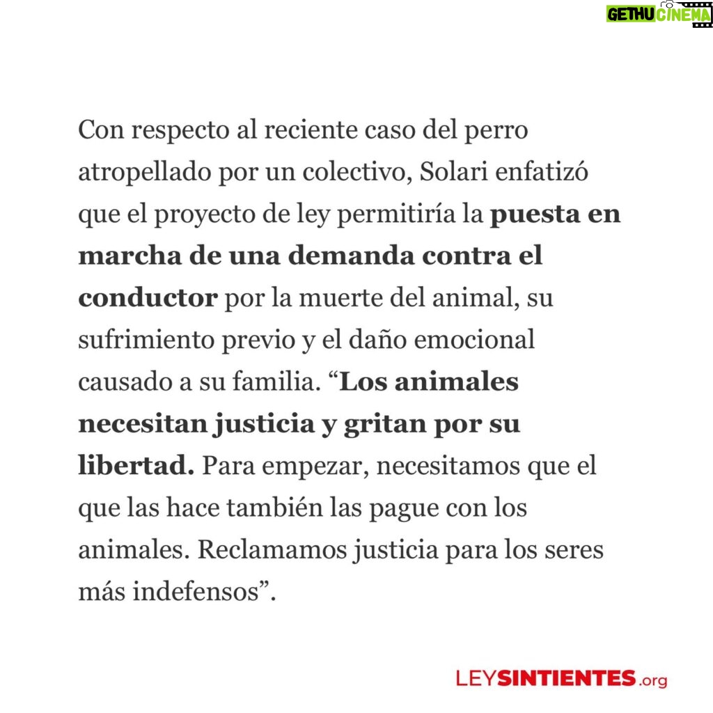 Liz Solari Instagram - Gracias @lanacioncom por abrir el espacio para hablar de la URGENCIA de mejorar sustancialmente la Ley 14.346 y de que el proyecto de #LeySintientes SEA LEY, a raíz del terrible caso de la perrita Emilia que fue asesinada atropellada por un colectivero. Etiquetá a @javiermilei y pedile que apoye @leysintientes para proteger a los animales. 🙌🏽❤️😍 LEY SINTIENTES busca dar un paso histórico en Argentina modificando el Código Civil y Comercial para sacar de la categoría de “cosas” a todos los animales y así declararlos sintientes y sujeto de derecho. 🙏🐾 📰 Lee la nota completa en nuestra WEB en la sección de PRENSA: leysintientes.org Nota: @vickymenghini Y POR FAVOR, firmá y compartí nuestra petición en change.org/leysintientes para ayudarnos a llegar a 1 millón de firmas. #Argentina #Animales #DerechosAnimales #LeySintientes We thank @lanacioncom for discussing the URGENT need to make the #SentientLaw a reality in Argentina, following the tragic case of Emilia, the dog who was killed by a bus driver. #SENTIENTLAW aims to make a historic change by amending Argentine Civil and Commercial Code to take all animals out of the category of “objects” and declare them sentient beings and subject to law. 🙏🐾 📰 Read the full article on our WEBSITE in the PRESS section: leysintientes.org PLEASE, sign and share our petition at change.org/leysintientes to help us reach 1 million signatures. #Animals #AnimalRights #AnimalSentience