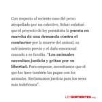 Liz Solari Instagram - Gracias @lanacioncom por abrir el espacio para hablar de la URGENCIA de mejorar sustancialmente la Ley 14.346 y de que el proyecto de #LeySintientes SEA LEY, a raíz del terrible caso de la perrita Emilia que fue asesinada atropellada por un colectivero. Etiquetá a @javiermilei y pedile que apoye @leysintientes para proteger a los animales. 🙌🏽❤️😍 LEY SINTIENTES busca dar un paso histórico en Argentina modificando el Código Civil y Comercial para sacar de la categoría de “cosas” a todos los animales y así declararlos sintientes y sujeto de derecho. 🙏🐾 📰 Lee la nota completa en nuestra WEB en la sección de PRENSA: leysintientes.org Nota: @vickymenghini Y POR FAVOR, firmá y compartí nuestra petición en change.org/leysintientes para ayudarnos a llegar a 1 millón de firmas. #Argentina #Animales #DerechosAnimales #LeySintientes We thank @lanacioncom for discussing the URGENT need to make the #SentientLaw a reality in Argentina, following the tragic case of Emilia, the dog who was killed by a bus driver. #SENTIENTLAW aims to make a historic change by amending Argentine Civil and Commercial Code to take all animals out of the category of “objects” and declare them sentient beings and subject to law. 🙏🐾 📰 Read the full article on our WEBSITE in the PRESS section: leysintientes.org PLEASE, sign and share our petition at change.org/leysintientes to help us reach 1 million signatures. #Animals #AnimalRights #AnimalSentience
