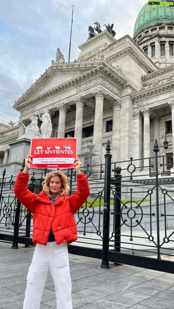 Liz Solari Instagram - Ayer marchamos por los animales. Y no frenaremos hasta que la ley haga lo que debe, protegerlos y considerarlos lo que son, sintientes y sujetos de derecho. Firma @leysintientes en mi bio Yesterday we marched for the animals. And we won’t stop until all animals are protected and considered sentient and subject to law by the Argentinian law. Sign our petition in bio 🙏🏻❤️🐾✊🏼🥳 Posted @withrepost • @change_ar 🐴 En el #DíaDelCaballo, se llevó adelante una manifestación para reclamar por los derechos de los animales. 📢 En la plaza del Congreso, organizaciones, influencers, y activistas animalistas estuvieron presentes apoyando, entre otras, a la petición Ley Sintientes, creada por @liz_solari que pide que los animales sean considerados como seres sintientes en el Código Civil y Comercial Argentino. ✍️ ¿Los acompañás con tu firma? 📲 Hacelo ingresando en change.org/LeySintientes o en el link de nuestra bio. @cherchevalier_author @clegg.judith @smileymindskids 🙏🏻❤️🐾 #HagamosElClic #Change10Años #LeySintientes #NoMasTAS #derechosanimales