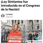 Liz Solari Instagram - ¡Tenemos muy buenas noticias! 🥳 @leysintientes fue introducido en el Congreso de la Nación 🙏🏻❤️🥳 Liz Solari y Leonardo Barnabá remitieron el proyecto de ley por el cual se modifica el código civil y comercial de la nación en lo relacionado con el estatus jurídico de los animales sintientes. El proyecto fue girado a la cámara de Legislación General. ¿Queres sumar tu voz a este cambio de paradigma en Argentina? Comentá, Suma tu firma y compartí la petición para que los animales dejen de ser considerados cosas para la ley. 👉🏽Link en Bio . We have very good news! Sentient Law has been introduced in the Argentinian Congress! 🥳 Liz Solari and Leonardo Barnabá presented the bill to modify the civil and commercial national code, in relation to the legal status of animals. Please sign and share the petition. The animals need us! Link in bio. 🙏🏻❤️✍️ #LeySintientes #SentientLaw #Argentina #DerechosAnimales #AnimalRights