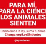 Liz Solari Instagram - ¡Llegando al Congreso! Por los animales. I know, Science knows, we ALL know ANIMALS FEEL. Sign and share our petition @leysintientes @leysintientes #NoMasTas #LeySintientes