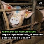 Liz Solari Instagram – NO ES NO.

Hace un año Argentina dice #NoAlAcuerdoPorcinoConChina

Somos cientos de miles los que activamos y millones los que nos oponemos.

Decimos ¡No en el Chaco, No en Argentina!

Sumate a la manifestación en la Embajada de China mañana 25 Agosto 14 a 18 hs. 

Firma y compartí mi petición link en Bio ✊🏼 @change_ar 

–

It’s been a Year We say No to the #PigDealWithChina

Pleae join us tomorrow – Meeting point Chinese Embassy in Argentine – 14 pm to 18 pm – 🗣❤️✨

Sign & Share Petition 👉🏽 Link in Bio 🙏🏻🐽💪🏾