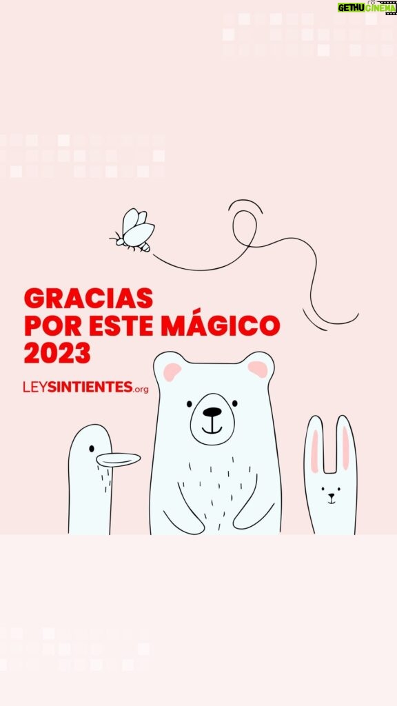 Liz Solari Instagram - Queremos expresar nuestro más profundo agradecimiento por habernos acompañado y apoyado durante todo este año en nuestro movimiento de amor, respeto y compasión hacia todos los seres sintientes. 🙏🐾❤️ Fue un año de mucho trabajo y de grandes logros de los que todos USTEDES fueron parte siguiéndonos desde el otro lado GRACIAS a que cada vez somos MÁS los que elegimos involucrarnos. En el 2024, sigamos trabajando juntos desde el AMOR para cambiar para BIEN la realidad de todos los sintientes. ❤️‍🔥🐒🦧🐕🐐🦙🦘🦞🐠🐙🦤🐁🦢🐄🐖 ✍️ Te invitamos a firmar y compartir la petición de #LeySintientes para que los animales sean declarados sintientes y sujeto de derecho en Argentina ¡LINK EN BIO! #Feliz2024 #AñoNuevo #DerechosAnimales #SintienciaAnimal . We deeply thank each of you for being part of our Community and supporting our Movement of love, respect, and compassion for all sentient beings. 🙏❤🐾 It has been a year of hard work and great achievements and YOU were part of them. 🙌🏽🥳🎉 Let’s continue to work together with LOVE AS A FORCE to change for Good the reality of all sentient beings! ❤🔥🐒🦧🐕🐐🦙🦘🦞🐠🐙🦤🐁🦢🐄🐖 ✍ Please sign and share the #SentientLaw petition to declare all animals sentient and subject to law in Argentina. LINK IN BIO! #HappyNewYear #AnimalRights #AnimalSentience