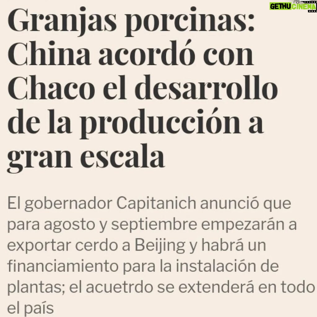 Liz Solari Instagram - NO ES NO. Hace un año Argentina dice #NoAlAcuerdoPorcinoConChina Somos cientos de miles los que activamos y millones los que nos oponemos. Decimos ¡No en el Chaco, No en Argentina! Sumate a la manifestación en la Embajada de China mañana 25 Agosto 14 a 18 hs. Firma y compartí mi petición link en Bio ✊🏼 @change_ar - It’s been a Year We say No to the #PigDealWithChina Pleae join us tomorrow - Meeting point Chinese Embassy in Argentine - 14 pm to 18 pm - 🗣❤️✨ Sign & Share Petition 👉🏽 Link in Bio 🙏🏻🐽💪🏾