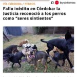 Liz Solari Instagram - #Repost @leysintientes with @use.repost ・・・ 📣 FALLO HISTÓRICO EN ARGENTINA CORDOBA ESTABLECIÓ QUE LOS PERROS SON SERES SINTIENTES 🙏🏻❤️🐾🥳 “El fallo significó un nuevo aporte al desarrollo progresivo jurisprudencial en torno a los animales, que paulatinamente, deconstruye las bases antropocéntricas del ordenamiento jurídico." Suma tu firma para que todos los animales sean considerados sintientes en Argentina. Encontra nuestra petición en bio 🙏✍️❤️ 📣 Historical legal ruling in Argentina: Cordoba established that dogs are sentient beings. 🙏❤️🐾✍️🥳 "The ruling meant a new contribution to the progressive jurisprudential development around animals, which gradually deconstructs the anthropocentric bases of the legal system." Sign and share our petition for all animals to be condisered sentient in Argentina. Link in Bio 🙏❤️✍️ @cherchevalier_author @clegg.judith @smileymindskids #leysintientes #sentientlaw #derechosanimales #noticias #news