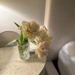 Lo Bosworth Instagram - spring flowers from ❤️, date nights, the country, my dogtor, norovirus, fishing not catching, and more