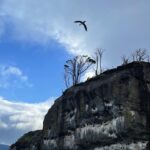 Loreto Aravena Instagram - Bahía Ainsworth e Islotes Tuckers en la Patagonia Chilena 🏔️ Con mi compañera de trekking @hildadelourdessot y los pingüinos de Magallanes 🐧 y el infaltable arcoíris