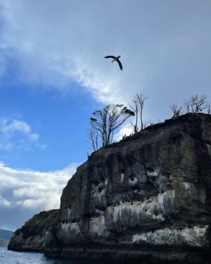 Loreto Aravena Instagram - Bahía Ainsworth e Islotes Tuckers en la Patagonia Chilena 🏔️
Con mi compañera de trekking @hildadelourdessot y los pingüinos de Magallanes 🐧 y el infaltable arcoíris