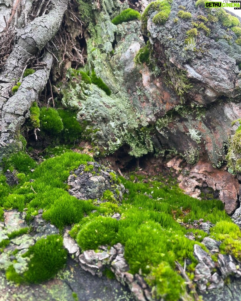 Loreto Aravena Instagram - Lugares que inspiran🍃 #surdechile🇨🇱