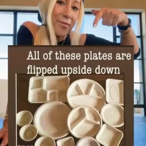 Lori Greiner Instagram - Do you see it? #opticalillusion #opticalillusions #mindgames #plates #sharktank