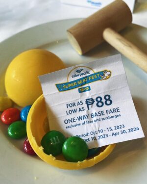 Louise delos Reyes Instagram - Prepare for an adventure of traveling far and wide for less with Cebu Pacific! ✈️🌍 Thanks to Cebu Pacific's low prices, you can now add 25 international destinations to your passport, including the new route to Da Nang, Vietnam, starting on December 7! 🇻🇳

Don't pass up the 10.10 Seat Sale today! Grab your ₱88 base fare for all domestic and international flights.

#CEBTravels #LetsFlyEveryJuan 

@cebupacificair