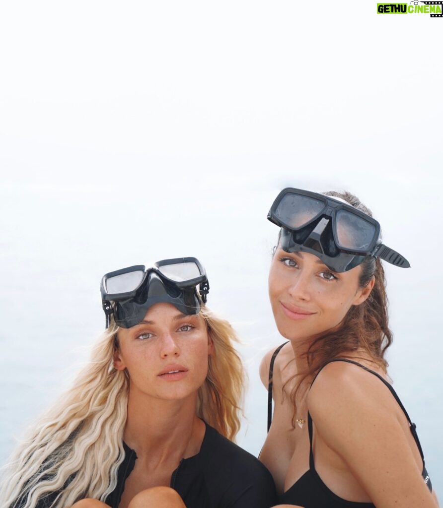 Lucie Donlan Instagram - Hey there, it’s Carla and Lucie, your favourite island girls! Here are some fun facts about us: 🌴🌎 1. So, picture this: Carla traded the hustle of Spain and the buzz of London for her own slice of paradise—a 1km island in the Maldives! Talk about an upgrade from city life to floating in the ocean! 🏝️ 🐡🪸🪼 2. Lucie’s all about those furry and feathered friends—her passion for wildlife is unmatched! She’s always on the lookout to support animal sanctuaries and spread love to our critter pals. 🦁 🦭 3. From total strangers to inseparable scuba sisters, our journey has been one wild ride! Now, we’re both proud island girls, soaking up the sun and diving into every adventure life throws our way! 🐠
