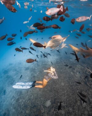 Lucie Donlan Instagram - Birthday Postcards 🎂🦈 Turning 26 in the Maldives surrounded by beautiful people, marine life and making memories of a lifetime..🤍 

Thank you for all the Birthday love so far, the kind messages and support.  I’m so grateful for it all and appreciate every single one of you! 

Now off to swim with more sharks to celebrate 🎉 🦈🌊🏝😂