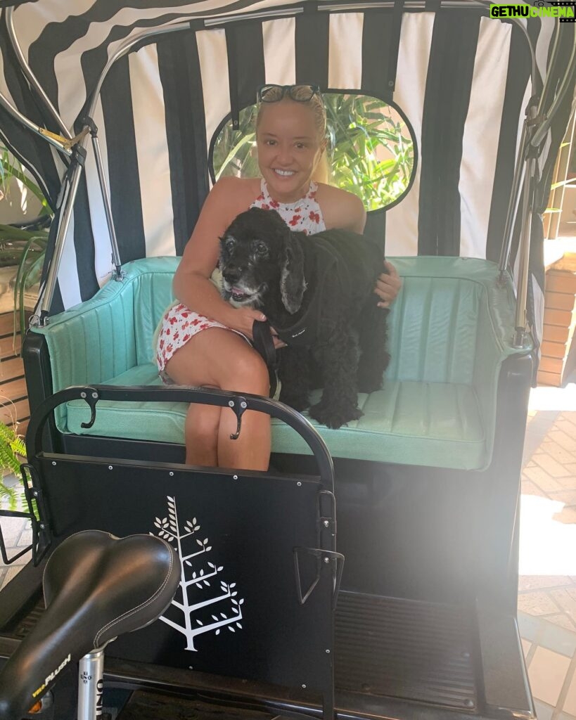 Lucy Davis Instagram - Gracie’s lunch at @fourseasons ! They treated her so kindly there and she was delighted with it all! Her little tail wagged continuously🙇‍♀️ #fourseasonsbeverlyhills