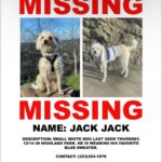 Lucy Davis Instagram - Highland park, Pasadena areas. Please keep a lookout💞💞💞