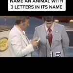 Lucy Davis Instagram - 😂😂 I love #familyfeud #familyfortunes repost @stevemaraboli @gatesygram