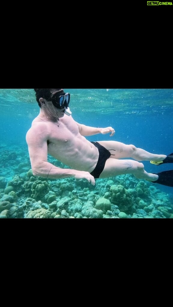 Luke Evans Instagram - There were fish everywhere, I swear!!! @joalibeing #joalibeing @beyondtalentglobal #gift 🐠🐠🐠🐠🐠🐠🐠