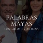 Luz Elena González Instagram - ¡Sé vecino de los famosos! 😎⚡️ @chermosillo27 @luzelenaglezz 🌳 Akún Mayab Residences un proyecto de departamentos que van más allá de las expectativas convencionales, proporcionando lujo y servicios exclusivos que van de la mano con nuestro estilo de hotel resort. Akún Mayab Residences ubicado en la exclusiva Zona Diamante de Mérida, Yucatán al norte de la ciudad🙌🏼💎 🏝️ A 15 minutos de la playa más cercana 🏡 A 5 minutos de Yucatán Country Club 🏊🏼 Con más de 20 amenidades para toda la familia 🎓 A minutos de privilegiadas escuelas ⛳️ Cerca de tres campos de golf 🚀 Alta proyección de crecimiento de zona ⚡️ Zona de alta plusvalía Si estas interesado, deja un comentario y te mandamos mensaje 📲 🔗 Visita nuestro sitio web: www.akunmexico.com #akunmexico #merida #yucatan #meridayucatan #meridayucatanmexico #mexico #bienesraices #realestate #realestateinvesting #luzelenagonzalez #juliocesarchavez #jcc #carloshermosillo #famosos