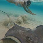 Mélanie Orlenko Instagram - Ces photos ne sont-elles pas magiques ? 🧜🏼‍♀️🐠 @la_cle_de_playa