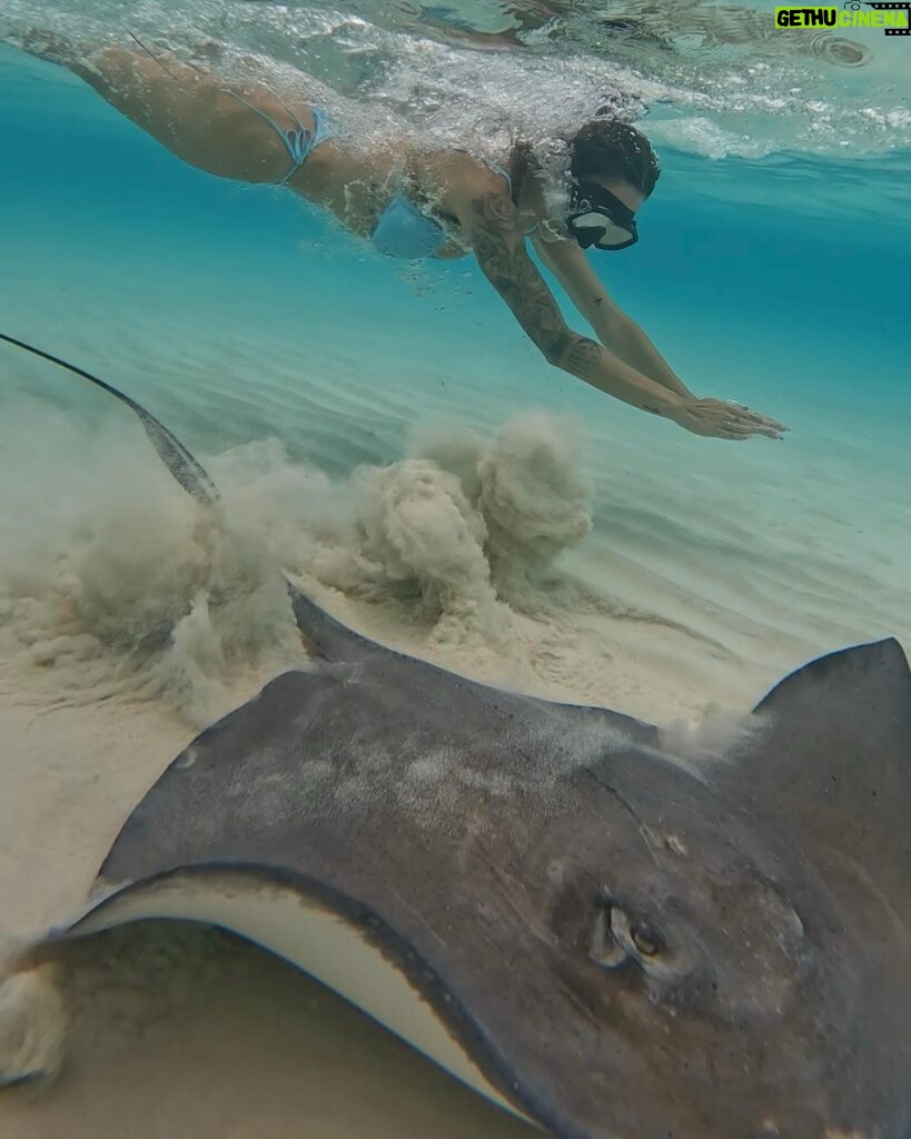 Mélanie Orlenko Instagram - Ces photos ne sont-elles pas magiques ? 🧜🏼‍♀️🐠 @la_cle_de_playa