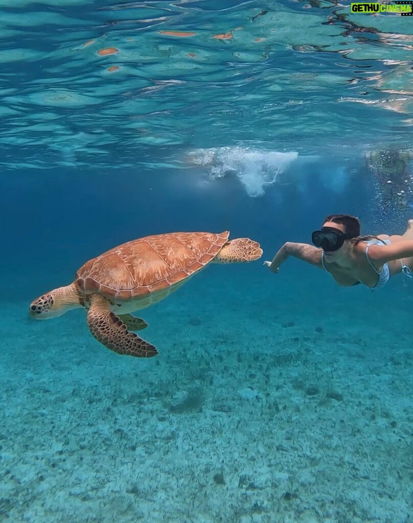 Mélanie Orlenko Instagram - Ces photos ne sont-elles pas magiques ? 🧜🏼‍♀️🐠 @la_cle_de_playa