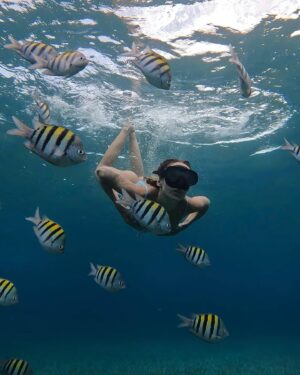 Mélanie Orlenko Instagram - Ces photos ne sont-elles pas magiques ? 🧜🏼‍♀️🐠 
@la_cle_de_playa