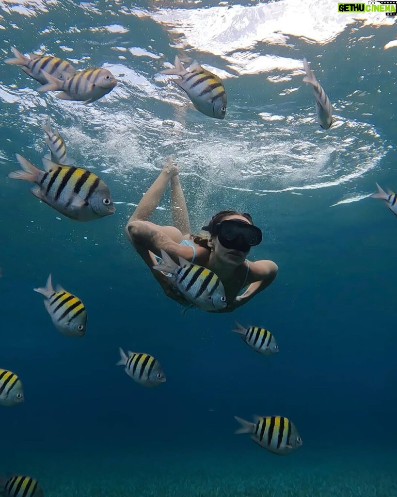 Mélanie Orlenko Instagram - Ces photos ne sont-elles pas magiques ? 🧜🏼‍♀️🐠 @la_cle_de_playa