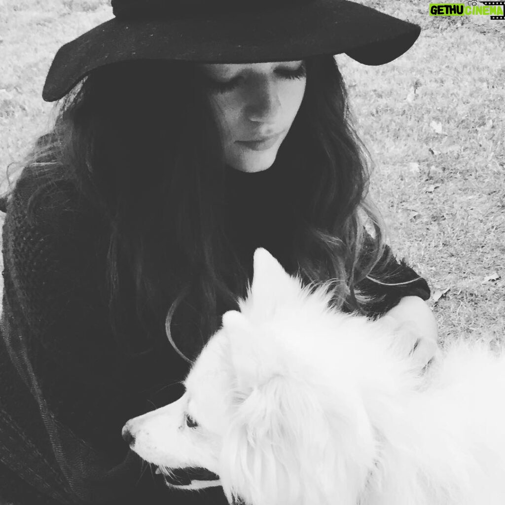 Mackenzie Foy Instagram - I had such a wonderful time dog-sitting this little white puff ball!!