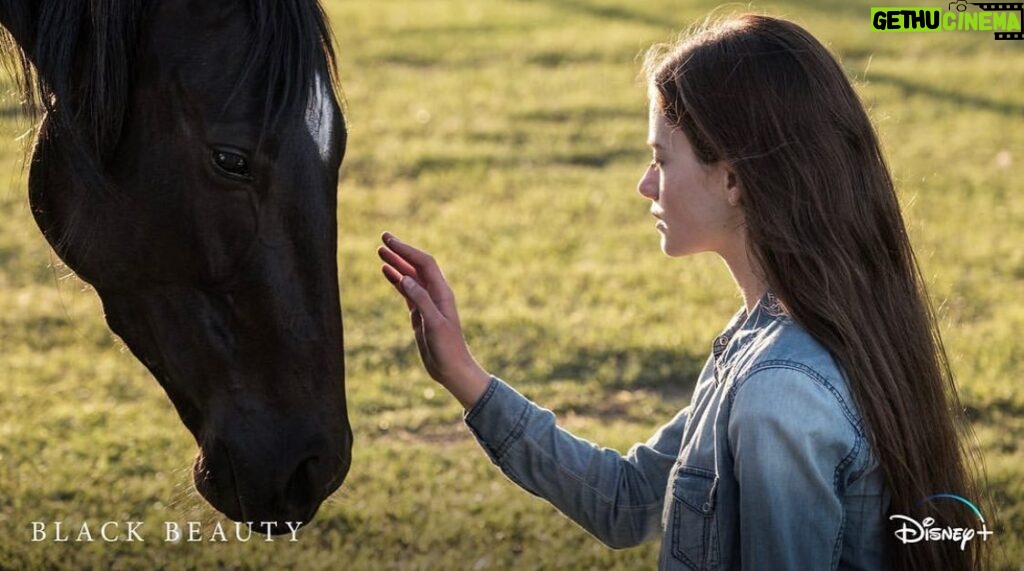 Mackenzie Foy Instagram - Black Beauty coming to @disneyplus this fall!!! ✨🐎