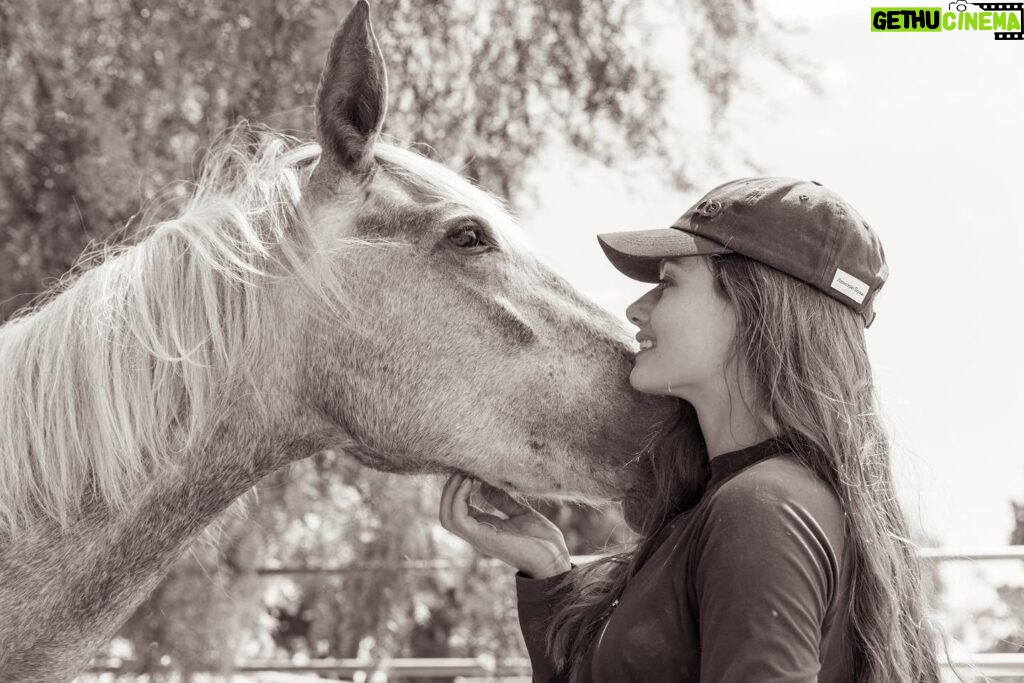 Mackenzie Foy Instagram - Whisper @kimerleecuryl.wildhorsephotos @wildbeautyspirit @ashleyavis