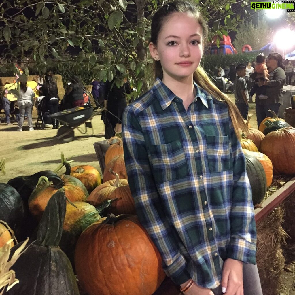 Mackenzie Foy Instagram - It's almost time to awkwardly pose with gourds at a pumpkin patch!😅🍂🍁🎃☠️👻🍁🍂
