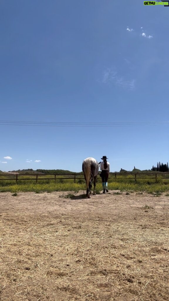 Mackenzie Foy Instagram - Liberty with Whisper