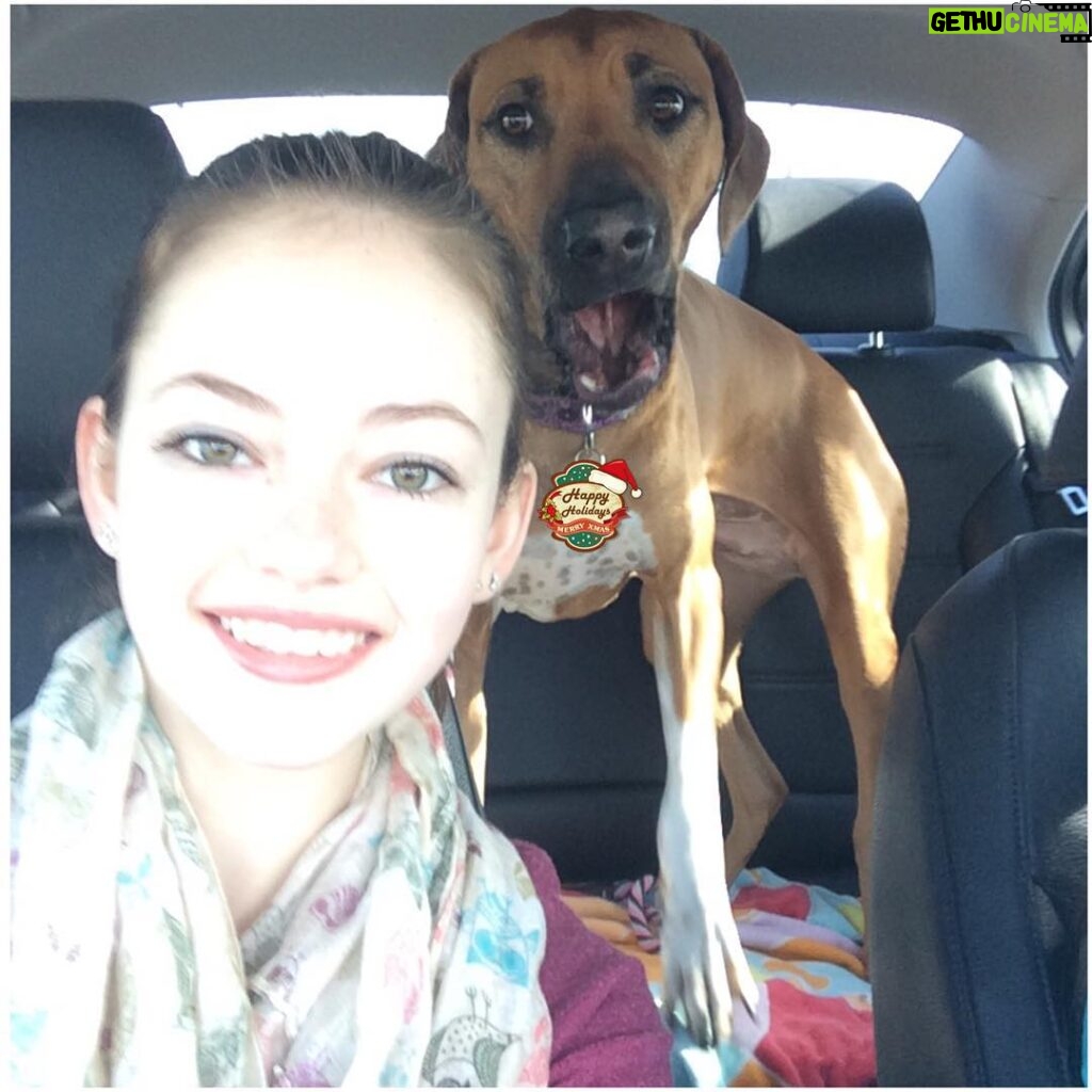 Mackenzie Foy Instagram - FireFly just realized that we are on our way to the vet for a check up. #Ilooklikeavampire