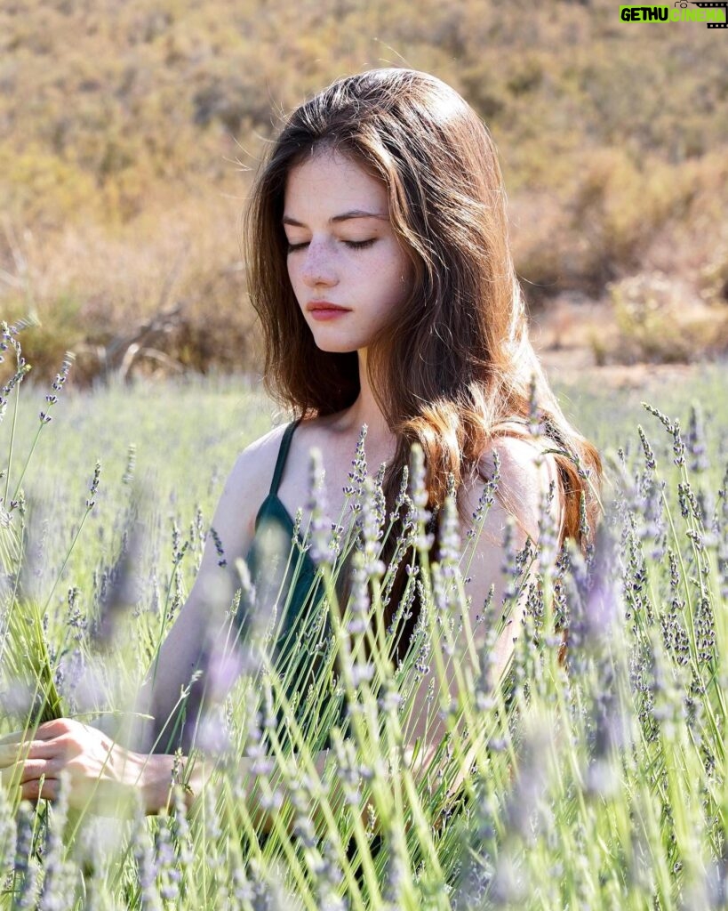 Mackenzie Foy Instagram -