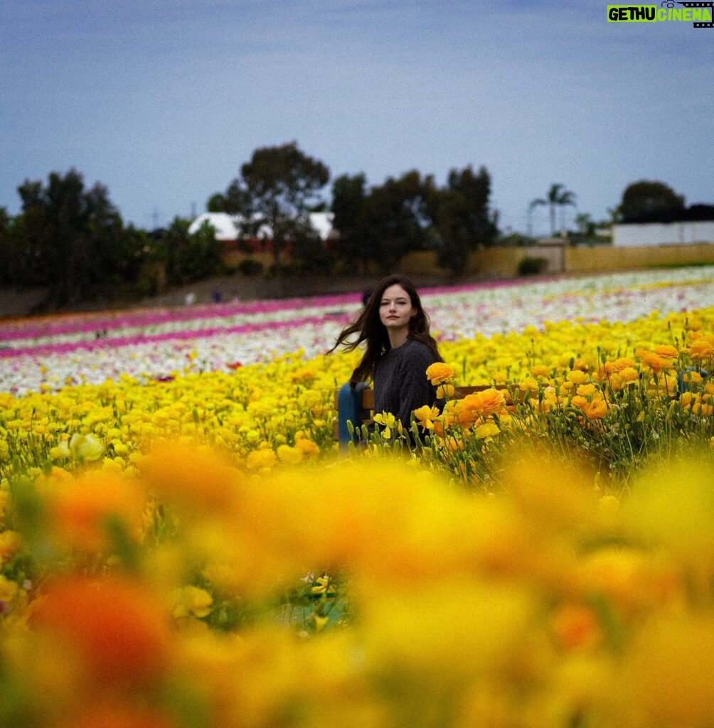 Mackenzie Foy Instagram -